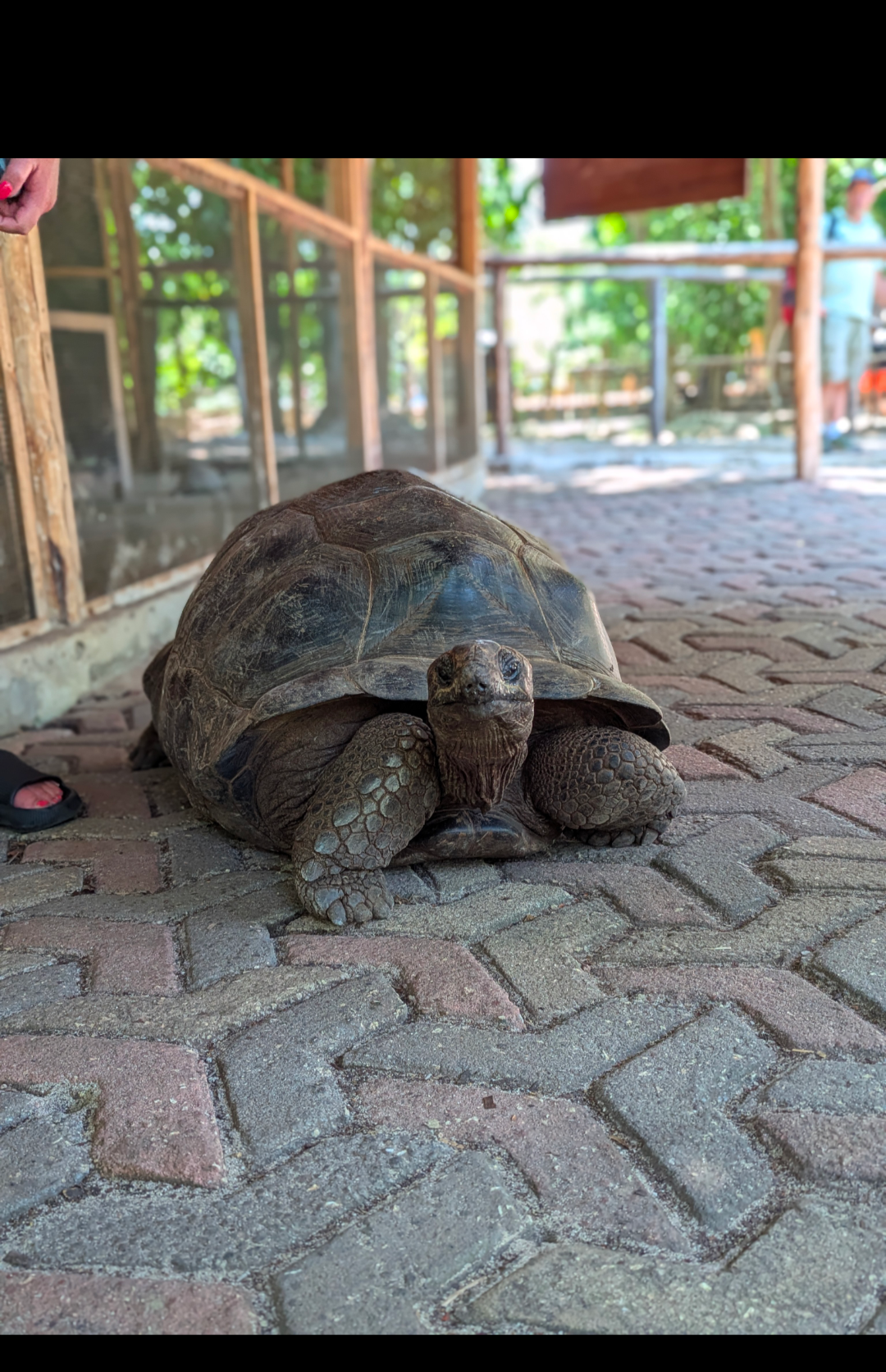 PRISON ISLAND & NAKUPENDA SANDBANK